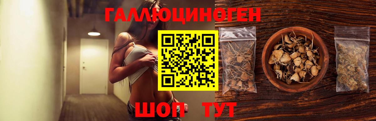 Феодосия  Псилоцибиновые грибы мицелий  Вход с VPN 
